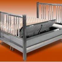 Sunny Welsin's Portfolio